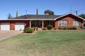 Property photo of 24A Yoolooma Street Griffith NSW 2680