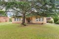 Property photo of 57 Hereford Avenue Trinity Gardens SA 5068