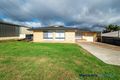 Property photo of 17 Mattinson Road Ridgehaven SA 5097