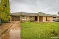 Property photo of 11 Para Avenue Nuriootpa SA 5355