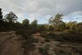 Property photo of 19 Possum Road Beaconsfield TAS 7270