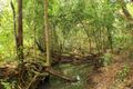 Property photo of 259 Bunneys Lane Kin Kin QLD 4571