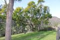 Property photo of 1233 St Albans Road Central Macdonald NSW 2775