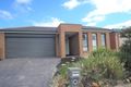 Property photo of 3 Manuka Grove Wyndham Vale VIC 3024