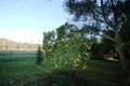 Property photo of 178 Old Bar Road Pampoolah NSW 2430