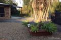 Property photo of 47 Mooloolah Road Mooloolah Valley QLD 4553