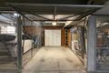 Property photo of 2A/4 Walsh Avenue Glebe NSW 2037