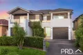 Property photo of 21A Eileen Street Picnic Point NSW 2213
