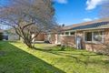 Property photo of 61 Carruthers Street Curtin ACT 2605