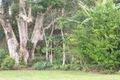 Property photo of 57 Campbell Road Bellthorpe QLD 4514