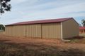 Property photo of 319 Pine Hill Road Narrandera NSW 2700