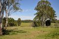Property photo of 796 Mundoolun Connection Road Tamborine QLD 4270