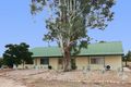 Property photo of 33 Whateley Road Loveday SA 5345