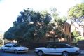 Property photo of 2/3 Marathon Road Darling Point NSW 2027