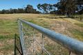 Property photo of 99 Orme Street Avoca VIC 3467