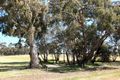 Property photo of 99 Orme Street Avoca VIC 3467