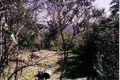Property photo of 10 Warabin Street Waterfall NSW 2233