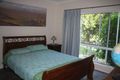 Property photo of 62 Papacek Access Little Mulgrave QLD 4865