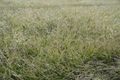 Property photo of 1005 Benns Road Piora NSW 2470
