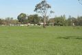 Property photo of 2 Poplar Road Lake Albert NSW 2650