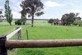 Property photo of 57 Boes Road Tyabb VIC 3913