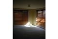 Property photo of 7 Orbit Drive Whittington VIC 3219