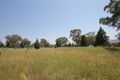 Property photo of 6 Greentrees Drive Quirindi NSW 2343