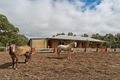 Property photo of 1 Wirrinilla Drive Macclesfield SA 5153