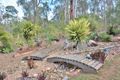 Property photo of 259 Schulze Road Beecher QLD 4680