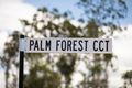 Property photo of 26 Palm Forest Circuit Forest Glen QLD 4556