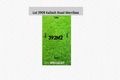 Property photo of LOT 3908 Kailash Road Werribee VIC 3030