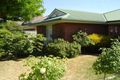 Property photo of 3 Apricot Circuit Cobram VIC 3644