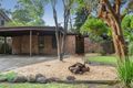 Property photo of 23 Walhalla Drive Ringwood East VIC 3135