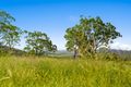 Property photo of 156 Woods Road Ramsay QLD 4358