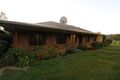 Property photo of 798 Grahams Valley Road Glencoe NSW 2365