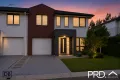 Property photo of 19 Whitfield Parade Hammondville NSW 2170