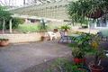 Property photo of 58 Payne Road The Gap QLD 4061