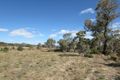 Property photo of 24 Elys Lane Harcourt VIC 3453