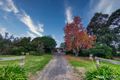 Property photo of 150 Warren Terrace Hazelwood North VIC 3840