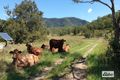 Property photo of 1546 Upper Widgee Road Widgee QLD 4570