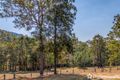 Property photo of 134 Upper Coomera Road Witheren QLD 4275
