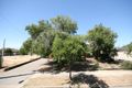Property photo of 25 Shelley Avenue Netley SA 5037