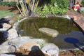 Property photo of 54 Thomas Street Flinders View QLD 4305