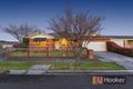Property photo of 13 Jagger Circuit Cranbourne East VIC 3977