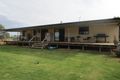 Property photo of 690 Thiele Road Loveday SA 5345