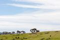 Property photo of 13 Parrot Drive Whittlesea VIC 3757