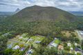 Property photo of 50 Carnarvon Drive Beerwah QLD 4519