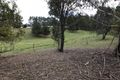 Property photo of 695 Triangle Flat Road Triangle Flat NSW 2795
