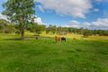 Property photo of 296 Youngs Road Wingham NSW 2429