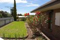 Property photo of 6 Porter Street Naracoorte SA 5271